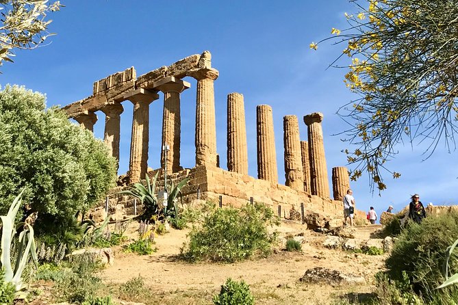 AGRIGENTO Valley of Temples Private Tour From Palermo With Guide Driver - Reviews and Ratings