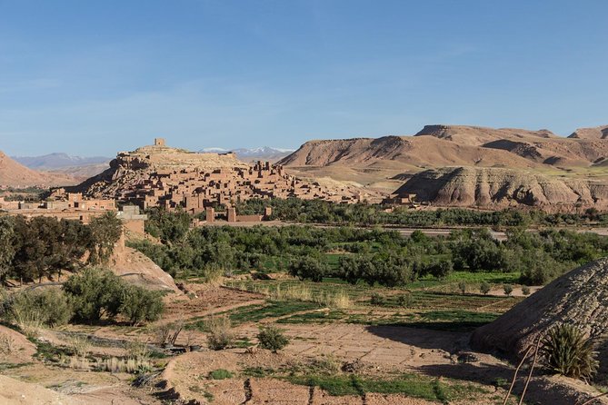 Ait Benhaddou Day Trip - Reviews Summary