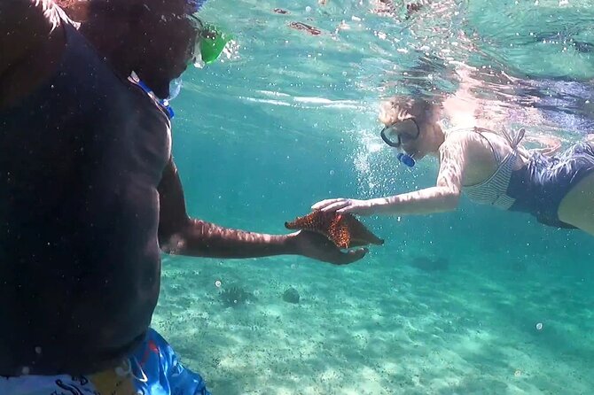 All-Inclusive Day-Trip From Nassau to Andros Bahamas - Snorkeling the Barrier Reef