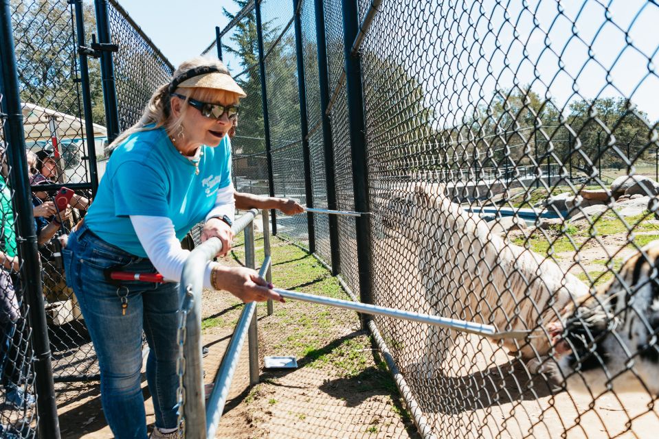 Alpine: Lions Tigers & Bears Sanctuary Visit and Feeding - Scenic Sanctuary and Historic Ranch