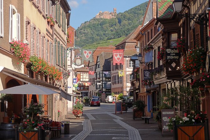 Alsace 4 Wonders Private Full Day Trip - Customer Reviews