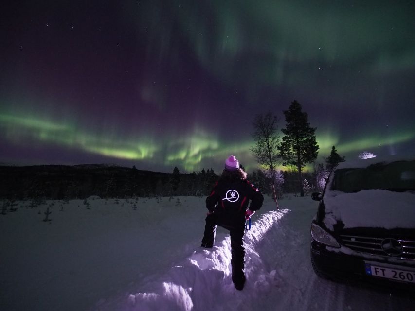 Alta: Small-Group Guided Northern Lights Tour - Northern Lights Viewing