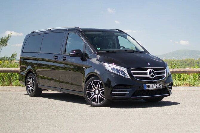 Amsterdam Airport Private Arrival Transfer by Luxury Van - Infant Accommodations