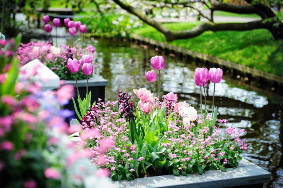 Amsterdam: Keukenhof Gardens Guided Tour Spanish and English - Recommendations and Tips