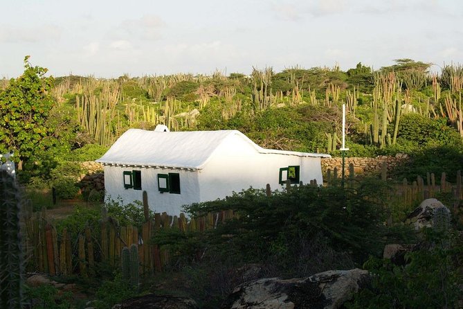 Arikok Adventurous Hiking Experience in Aruba - Positive Customer Reviews