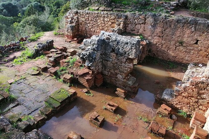 Arrábida: Beach, Nature & History - Outdoor Activities