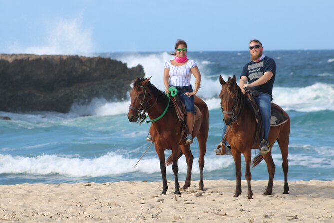 Aruba North Coastline: Small-Group Horseback Riding Tour - Confirmation and Cancellation