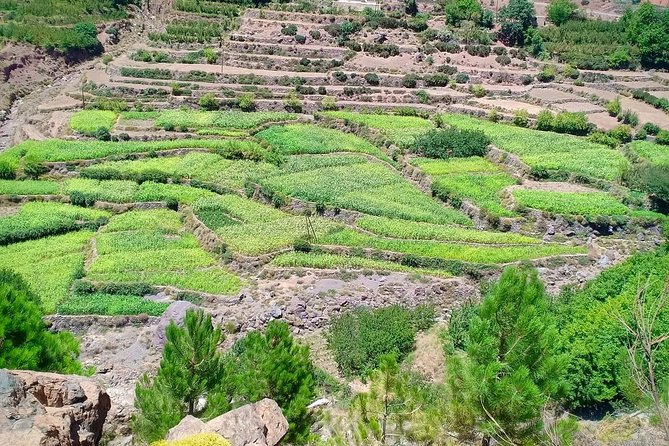 Atlas Mountain & Berber Villages and Waterfalls Day Trip From Marrakech - Cancellation Policy