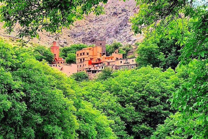 Atlas Mountains & Ourika Valley Private Day Trip From Marrakech - Lunch and Refreshments