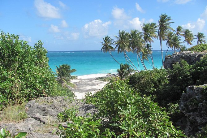 Barbados Full-day Coast to Coast Tour - Dietary Accommodations