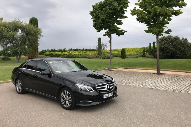 Barcelona Private Transfer: Cruise Port to Central Barcelona - Customer Reviews and Ratings