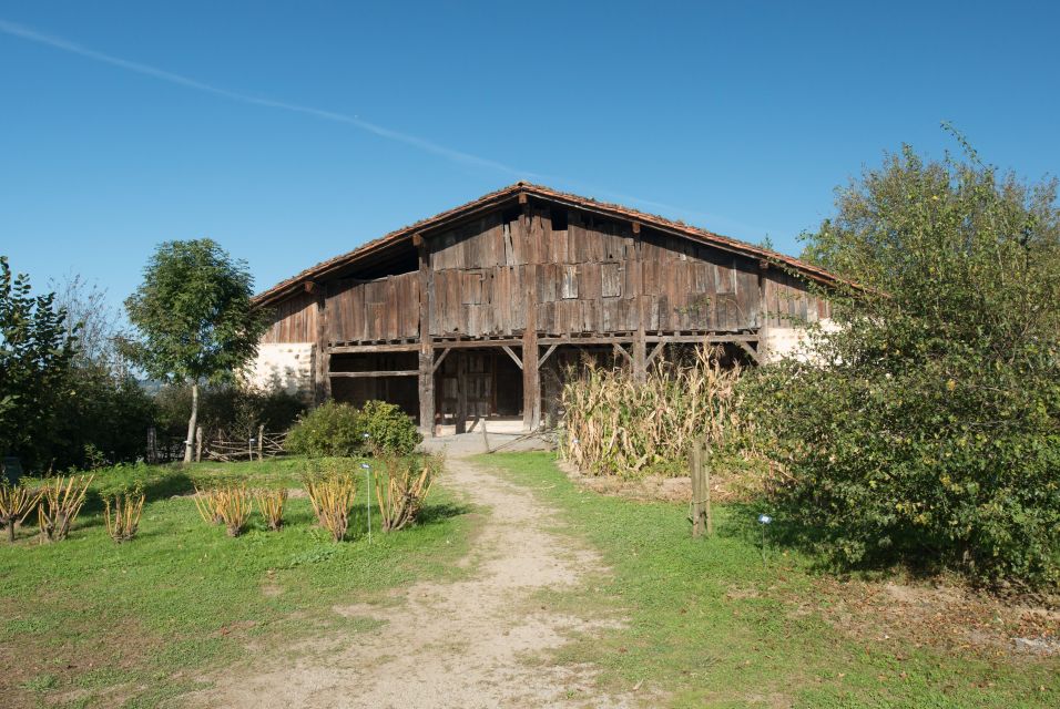 Basque Press Farm and Traditional Cider House With Transport - Transport Details