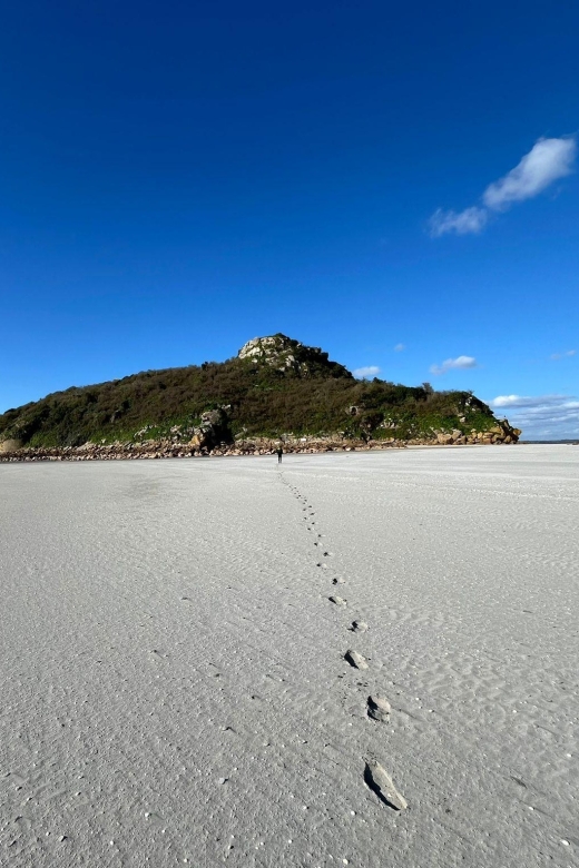 Bay of Mont Saint-Michel: Heading For Tombelaine Island - Pricing and Booking