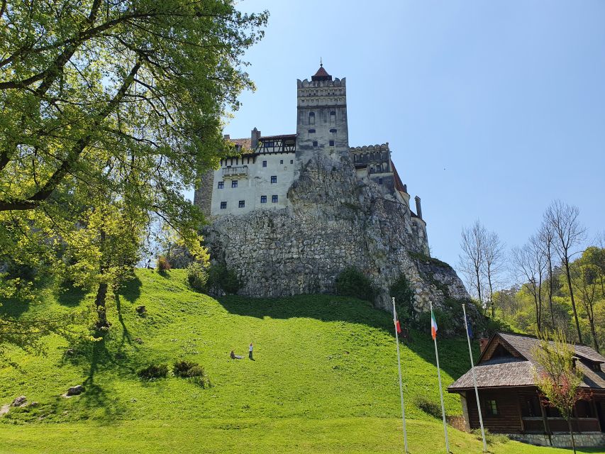 Bears Sanctuary, Bran Castle and Brasov City - Private Tour - Bran Castle (Draculas Castle)