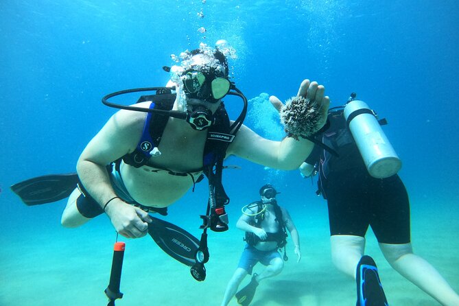 Beginner Scuba Diving Guided Tour - No Experience Required - Gear and Equipment