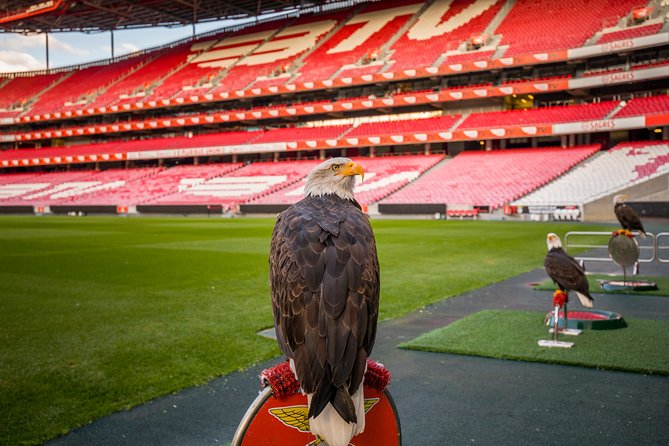 Benfica Stadium Tour and Museum Entrance Ticket - Tour Schedule