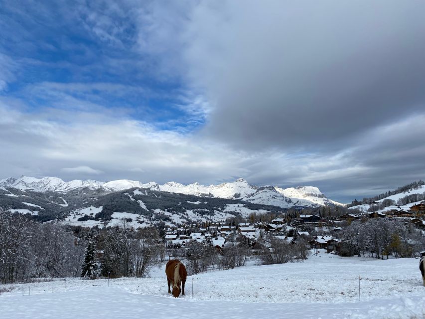 Bespoke Private Megève Experience - Fine Dining With Mountain Views