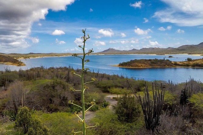 Bonaire Essentials Island Tour - Included in the Tour