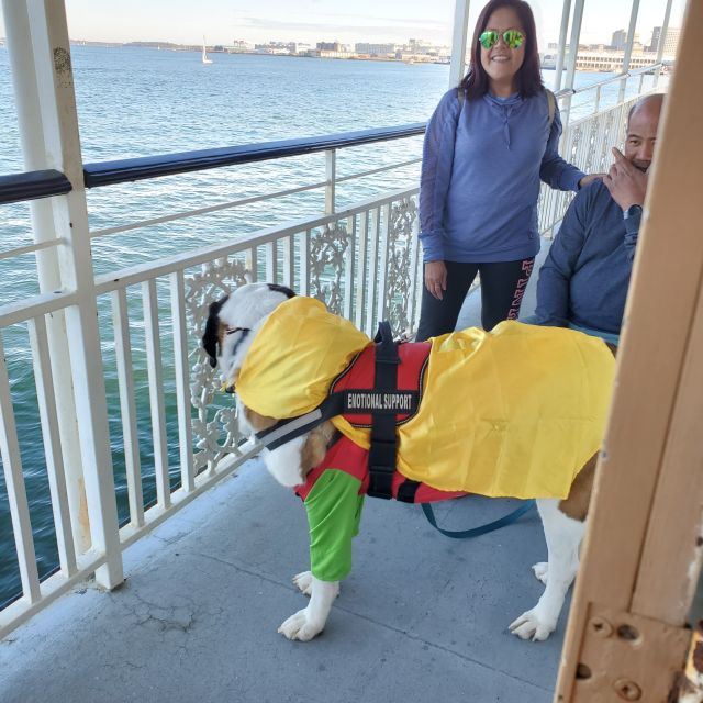 Boston: Scenic Harbor Cruise (Dog-Friendly) - Onboard Amenities