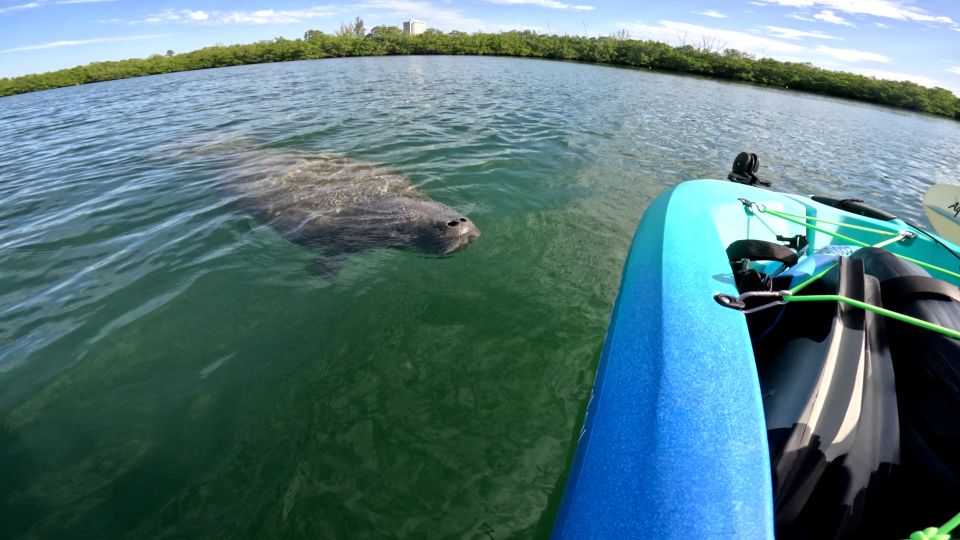 Bradenton: Guided Pedal Kayak Tour - Inclusions and Equipment