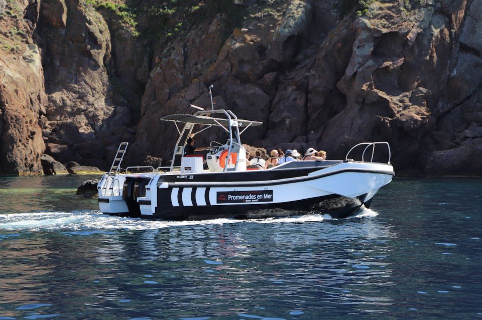 Calvi to Scandola: 4-Hour Boat Tour - Small Group Experience