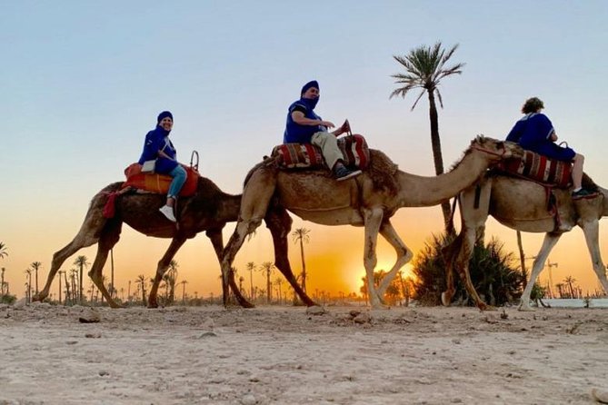 Camel Ride in Marrakech Desert Palmgrove - Convenient Transportation and Pickup