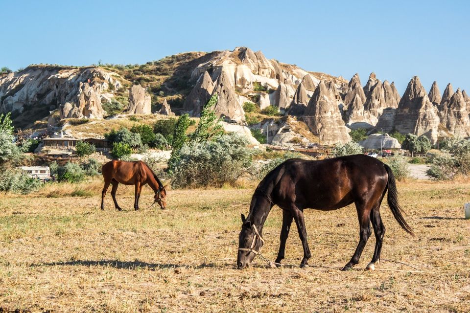 Cappadocia: Sunrise Hot Air Balloon Ride and Day Tour - Devrent Valley and Imagination