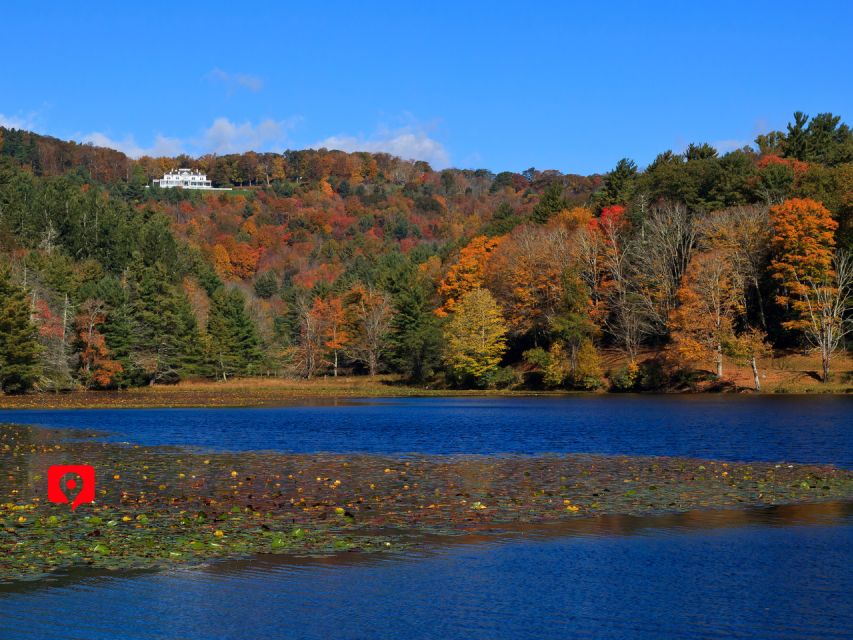 Capture the Majesty of the Blue Ridge: A Scenic Driving Tour - Panoramic Vistas and Lush Forests