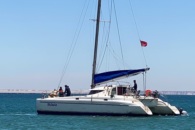 Catamaran Trip in the Big Bay of Dakhla - Customer Reviews and Ratings