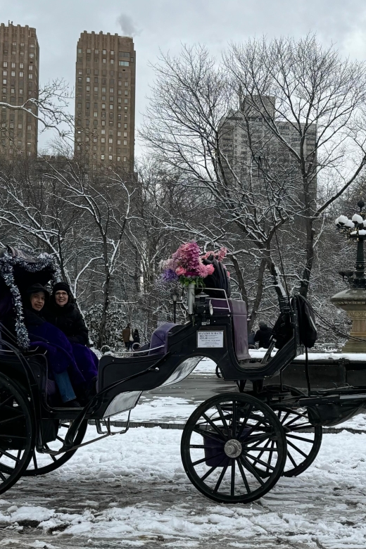 Central Park Horses Carriage Rides - Cancelation Policy