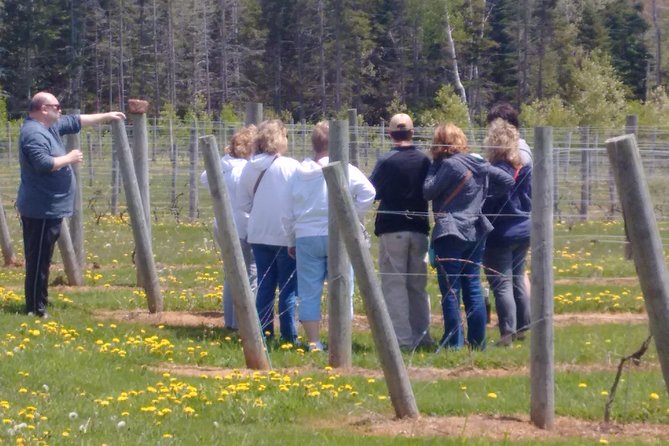 Central PEI Winery, Apiary and Mead Tasting Tour - Mead Tasting