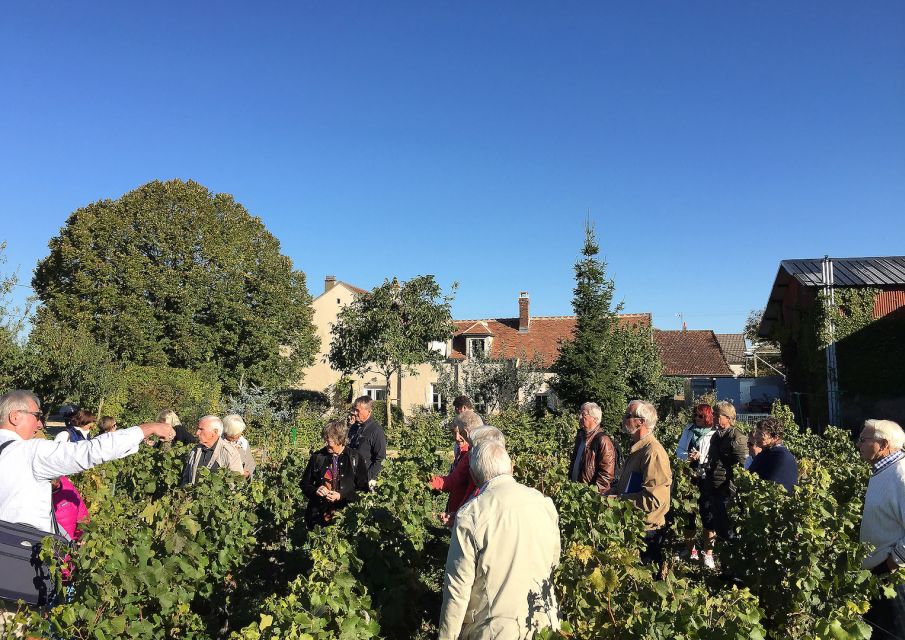 Chablis Clotilde Davenne Visit and Tasting in English - Discovery of the Vintage