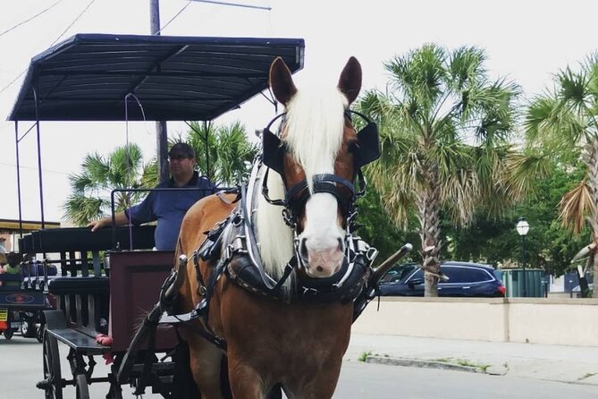 Charlestons Historic Residential Horse and Carriage Tour - Comfortable Carriage Rides