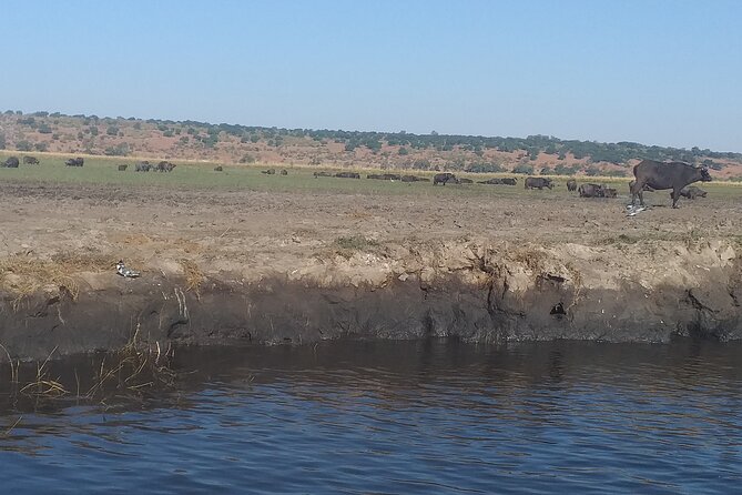 Chobe Botswana Full-Day Trip - Booking and Cancellation Policy