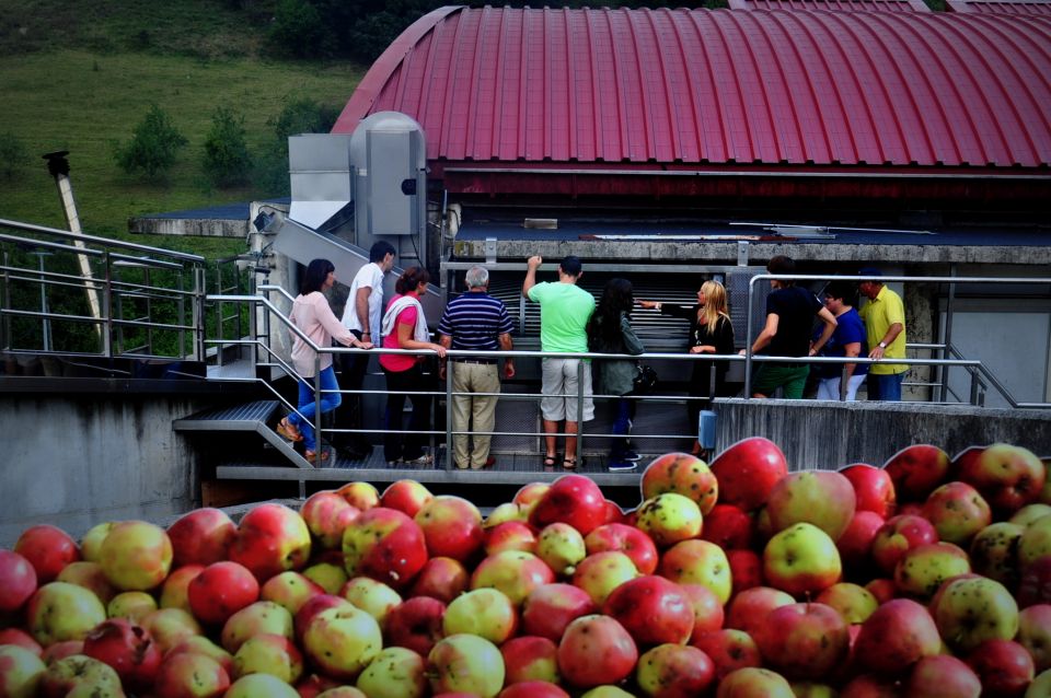 Cider House Experience From San Sebastián - Location and Accessibility