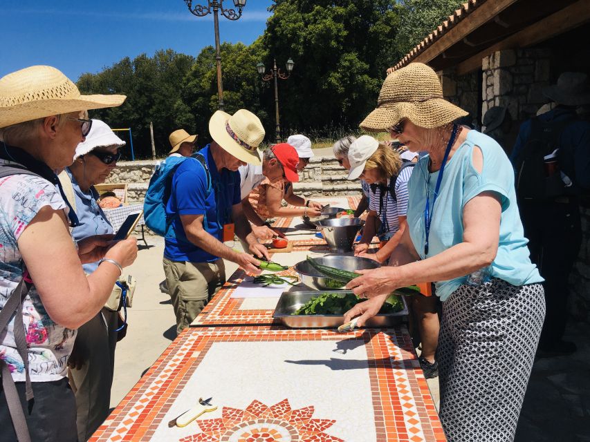 Cooking Class-lunch in an Agrotourism Unit, Arcadia, Greece - Additional Experiences and Options