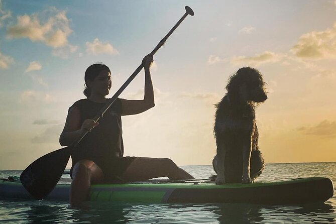 Crabbe Hill Beach Private Sunset Paddleboard - Booking and Accessibility