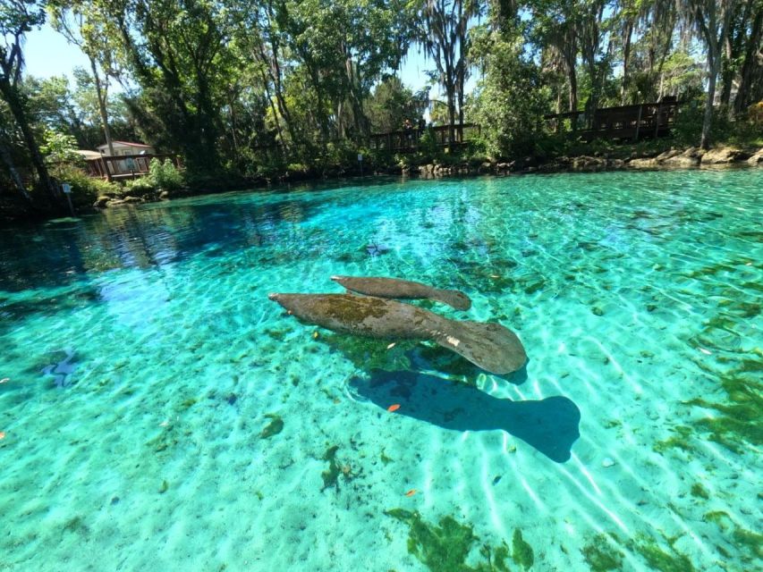 Crystal River: Kayak Rental - Check-in Process