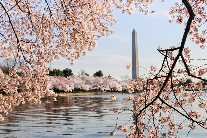 D.C. Cherry Blossoms: Escorted Bus Tour From Toronto - Frequently Asked Questions