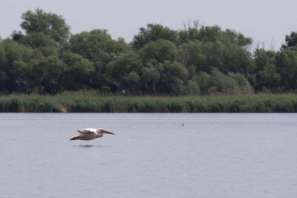 Danube Delta - 2-Day Tour From Bucharest - Accommodation and Inclusions