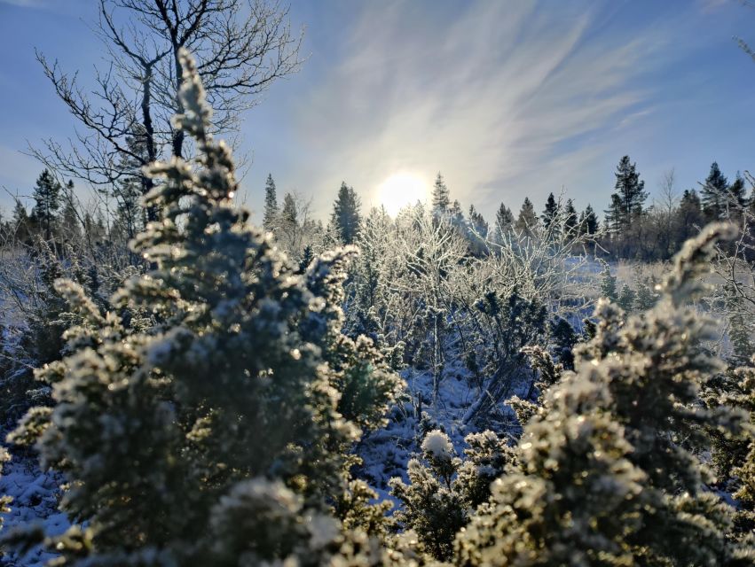 Day in the Tundra - Winter Trek & Smoke Sauna - Frequently Asked Questions