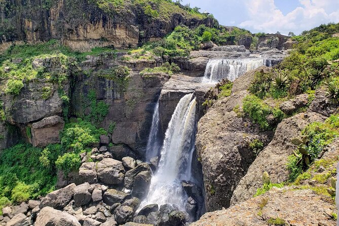 Day Trip From Addis Ababa See Historical Monastery,Stunning Nature,Animals,Birds - Spot Endemic Gelada Monkeys