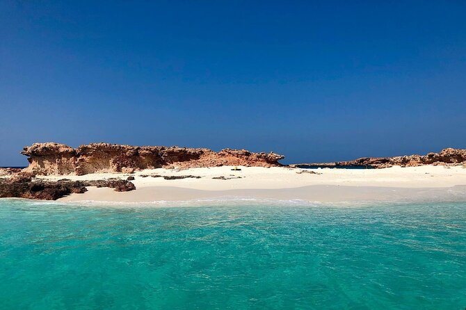 Daymaniyat Islands Snorkeling Half-Day Tour - Operational Details