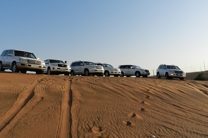 Desert Safari in Dubai Red Dunes With BBQ VEG Dinner - Exclusions and Additional Costs