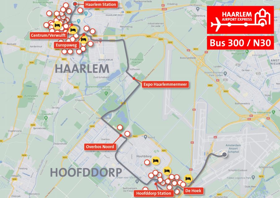 Direct Schiphol Bus Transfer to Haarlem City Center (Return) - Destination Options