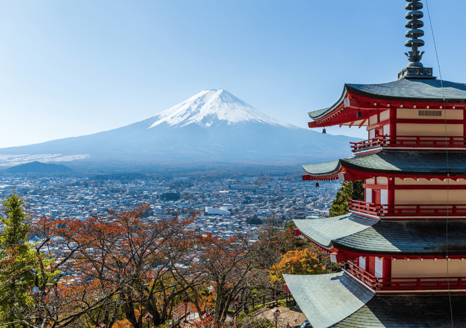 Discover Mount Fuji: Private Car/Van Day Tour From Tokyo - Pickup and Accessibility