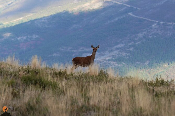 Discovering Nature in Serra Da Lousã - Guided Tour Experiences