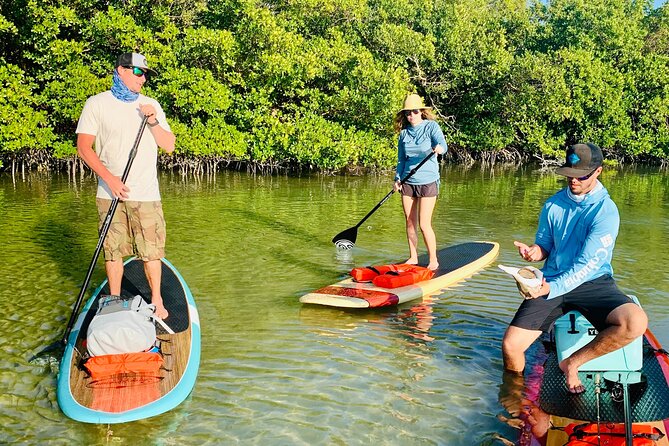 Dolphin and Manatee Adventure Tour of Fort Myers - Booking and Additional Information