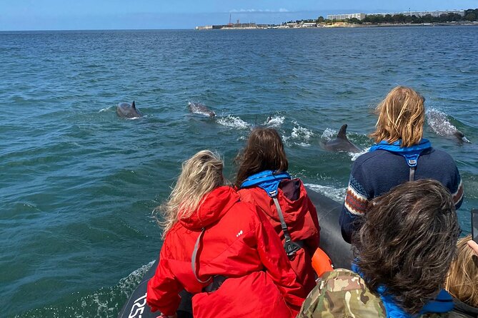 Dolphin Watching in Lisbon - Meeting Point and Pickup Details