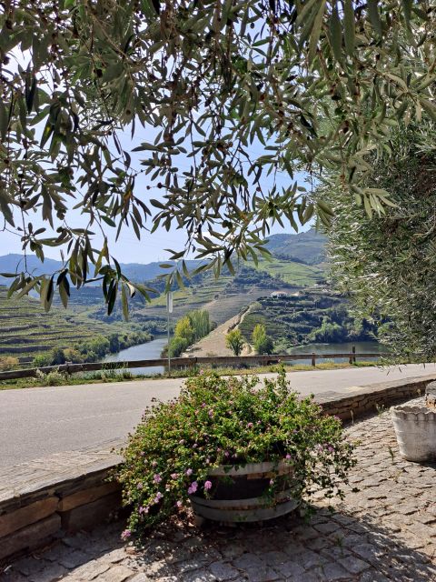 Douro Valley: 8-9h FD Tour at the Magic Valley! - Inclusions